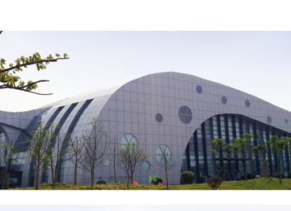 普兰店会议中心外景网架工程
